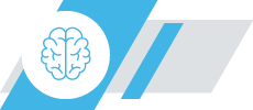 Brain icon